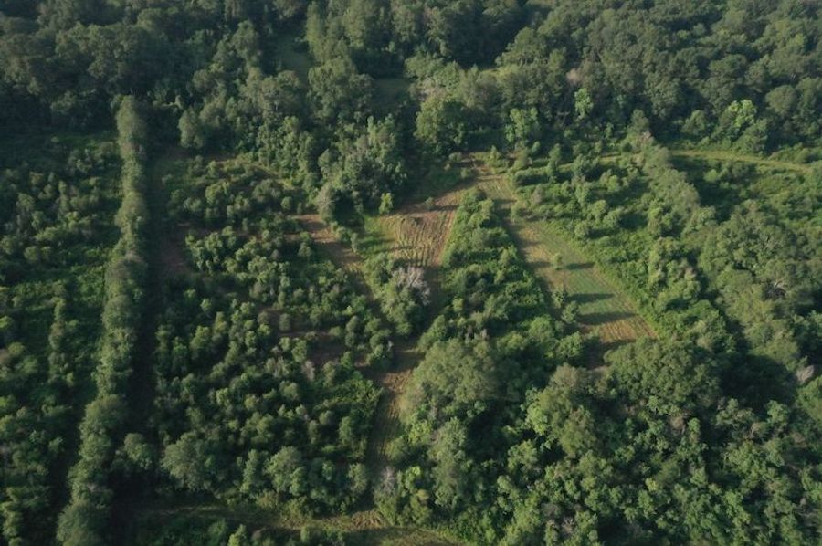 DJI_0613