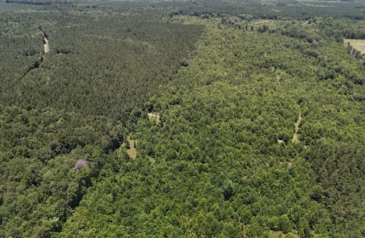 Copy of DJI_20250624022918_0635_D