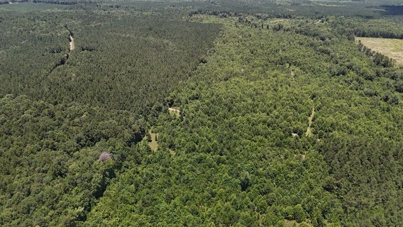 Copy of DJI_20250624022918_0635_D
