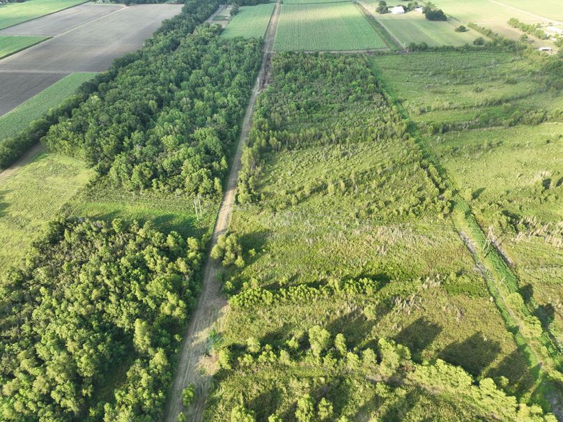 dji_fly_20230801_183838_246_1690975147421_photo