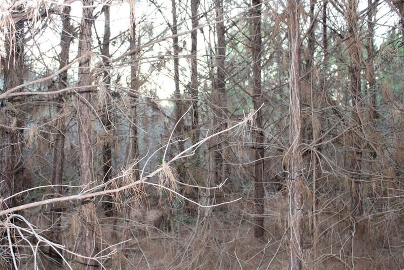 15A0AA01-FD5D-4B86-997E-0E2B734B92A3_1_105_c