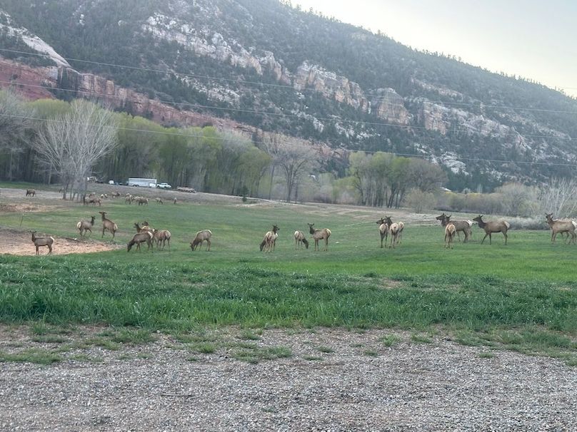 IMG_20250424_063935 (1)