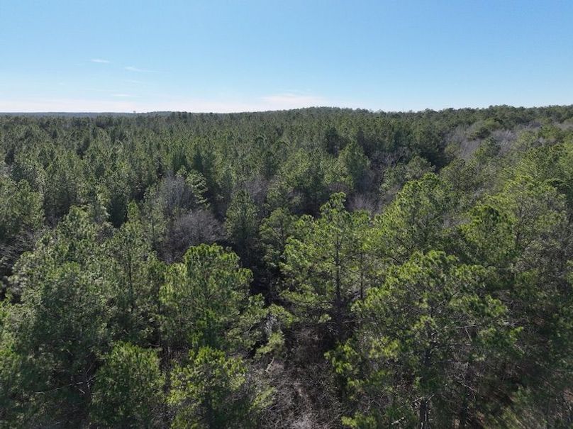 22184EB9-2463-41F3-99E6-9751A4BAC073_1_105_c