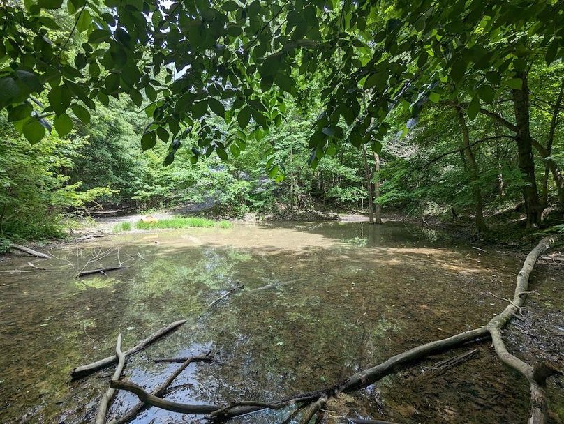 PXL_20240607_185847420