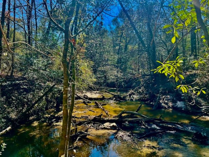 049158EB-44BB-4F25-B21F-64A31122A245_1_201_a