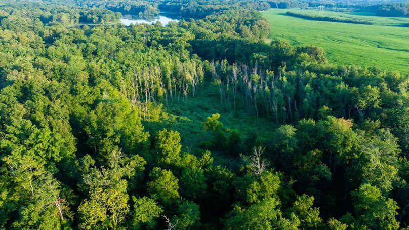 Copy of DJI_20250807182001_0052_D Large