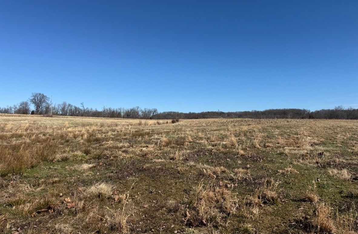002 open field view from the southwest corner looking to the east