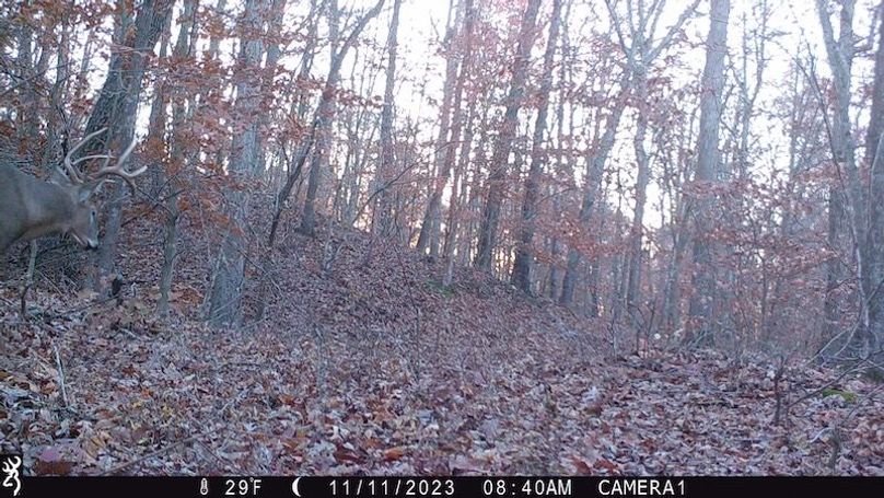 trail cam12