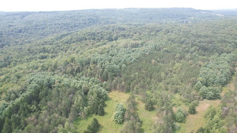 dji_fly_20250804_150700_471_1754355850920_photo