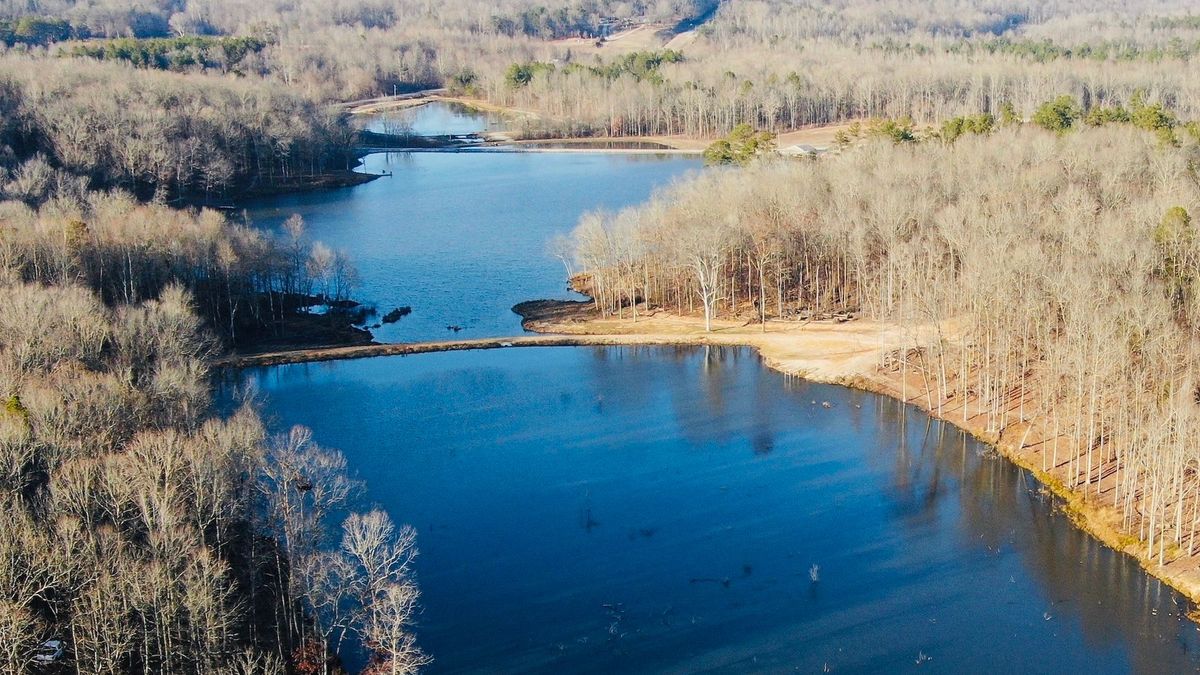 Three SpringFed Lakes, Cabin, Shop, Mature Timber Whitetail Properties