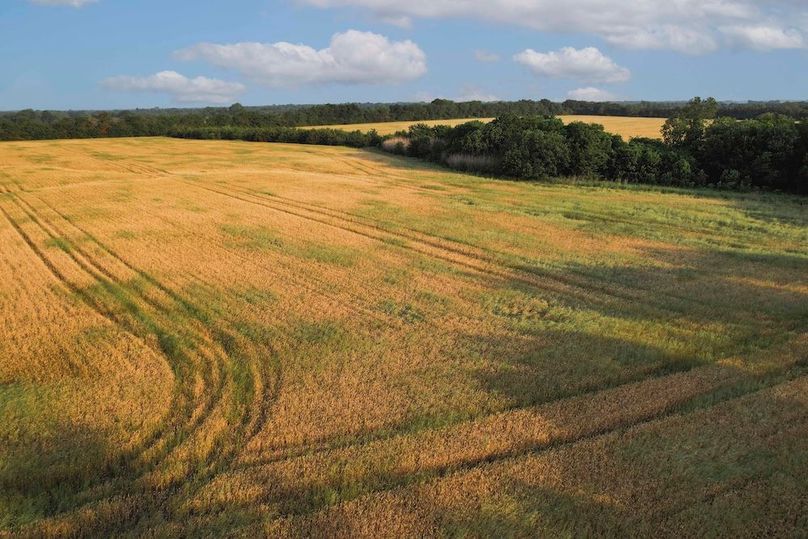 Lamar County- 92.66 Acres (16 of 29)