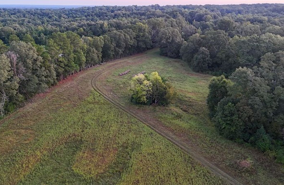 Hinds Co - 78 - Newman-04