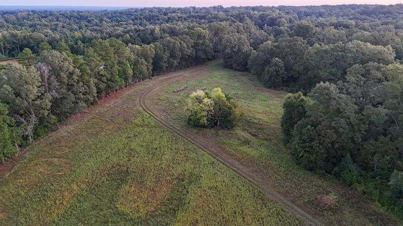 Hinds Co - 78 - Newman-04