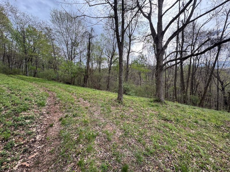 Calhoun, WV 132.84 AC Szegi 2-142