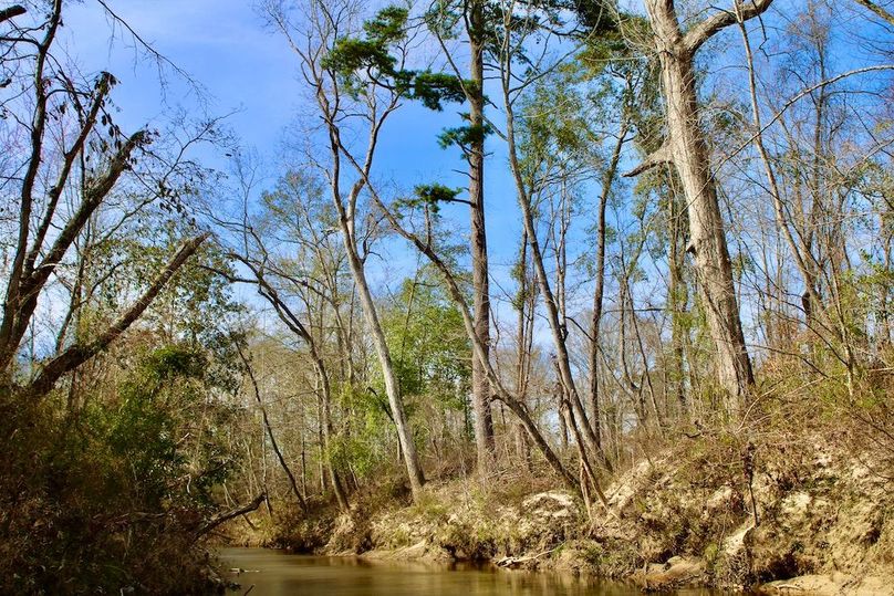 76D60B79-CDA1-4935-81CB-F266FF89CAA0_1_201_a