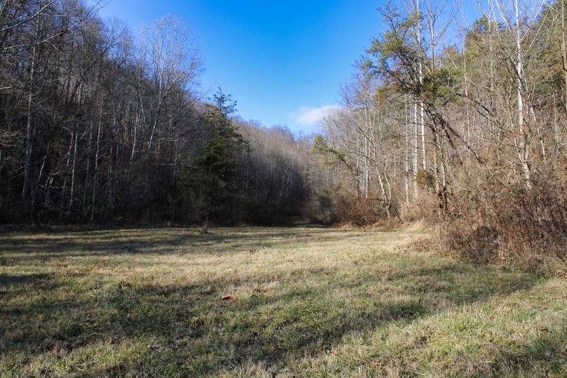 017 coming out of the front fields heading up the road