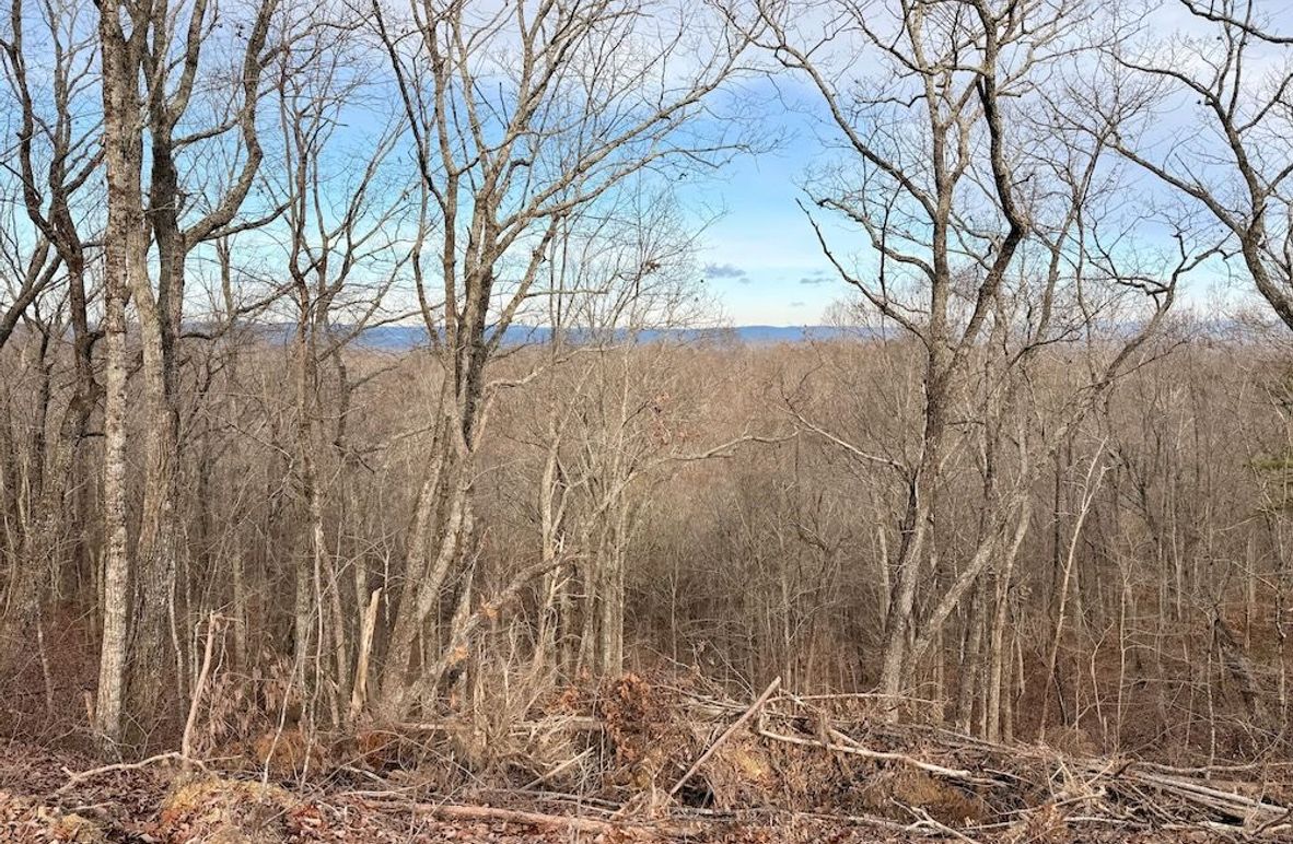 Roane Co TN 396 20251127_03