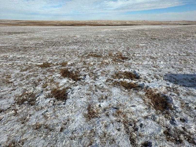 05D5BE00-4C2B-4466-A738-62C9733DBF52_1_105_c