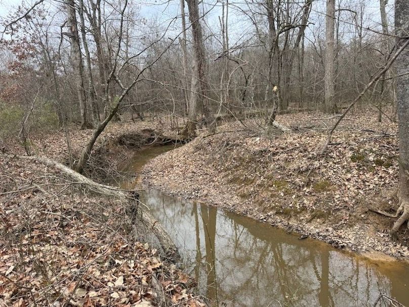 311 new20260217_0480