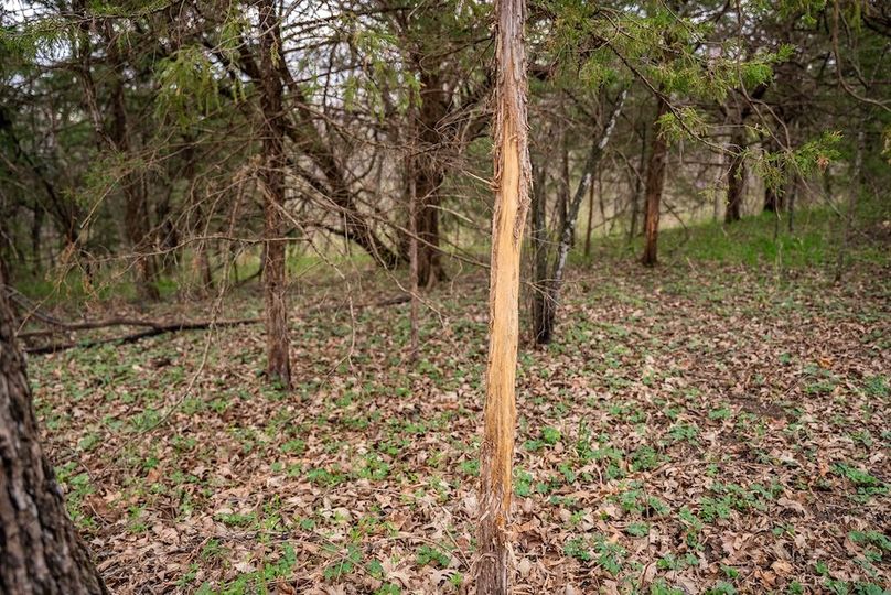 WabaunseeKansas887.39-205