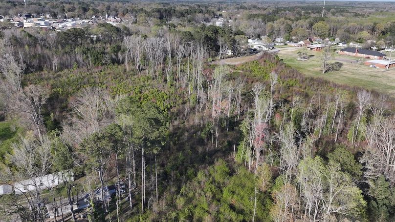 DJI_20240321173235_0060_D