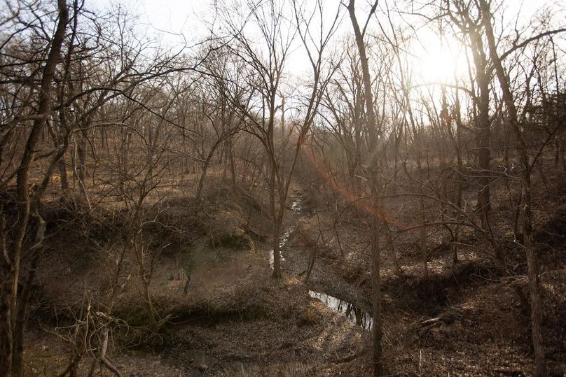 PAGE CO IA 130+_-_40