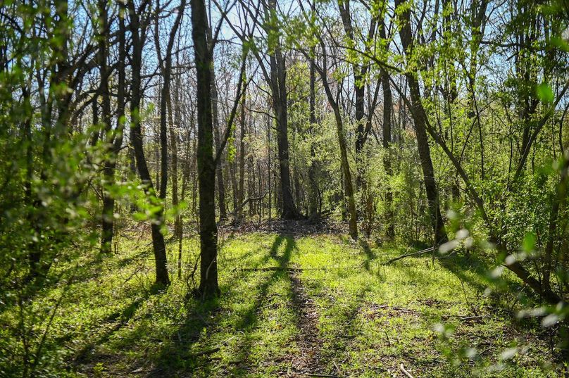 vandalia 450 (2)-2466