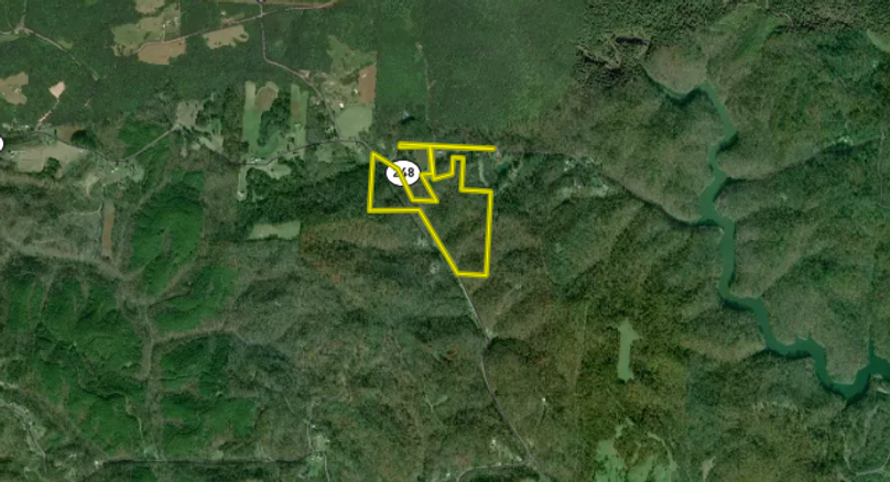 Screenshot 2023-08-11 at 12.24.45 PM