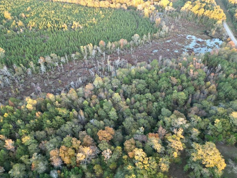 dji_fly_20251103_173418_408_1762260579755_photo