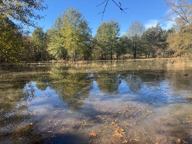 1a1 jeff 8320251111_0245