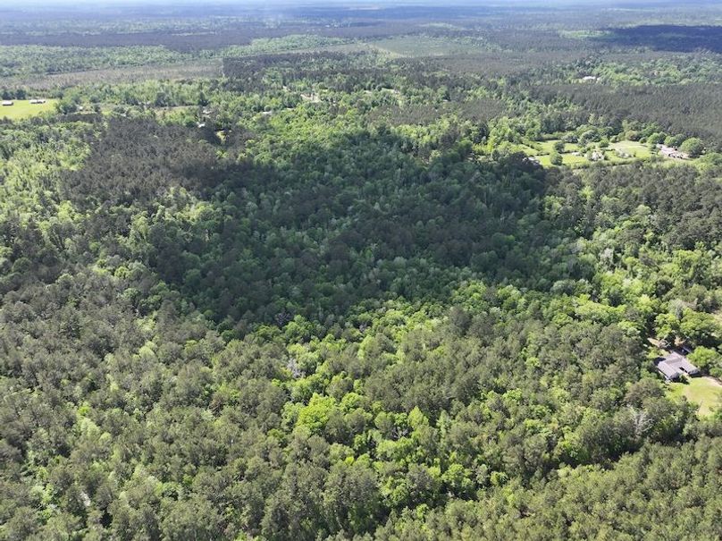 dji_fly_20260408_140710_0067_1776086822573_photo