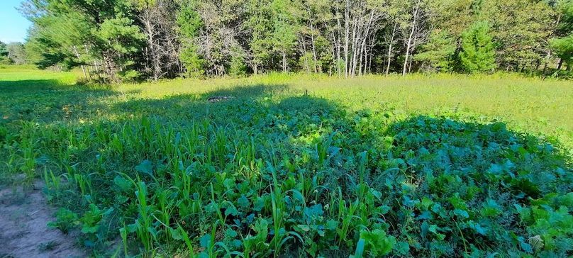 Copy of _storage_emulated_0_DCIM_Camera_20220919_151608