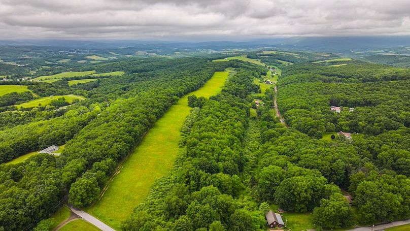 Bedford,121,Beegle-53