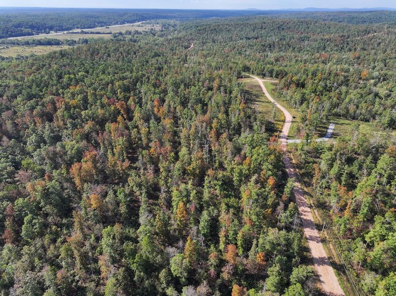 DJI_20250925100318_0695_D