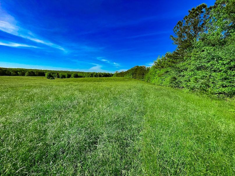 Haralson GA 100 McIntyre-10