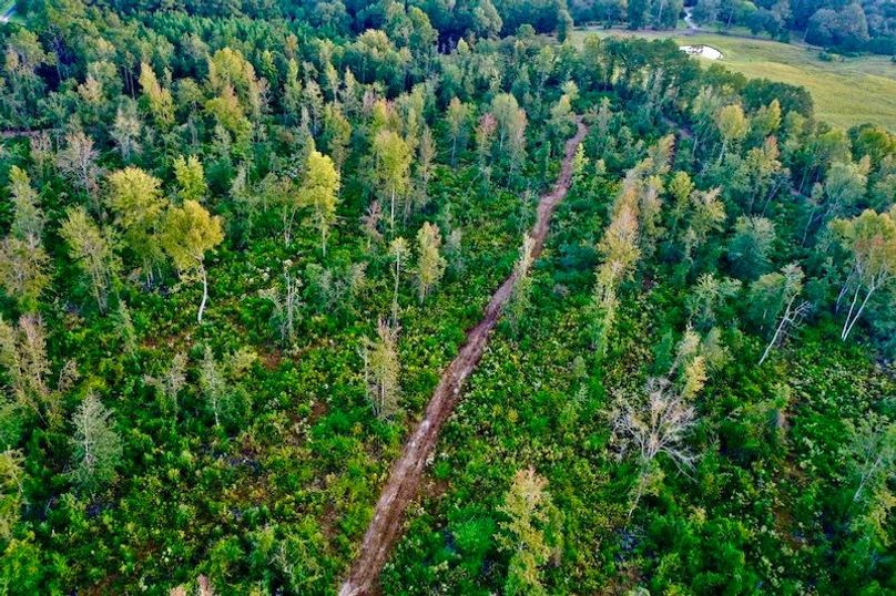 66B53BEA-BB1B-44A7-A3E8-2C7D9F5A302D_1_105_c