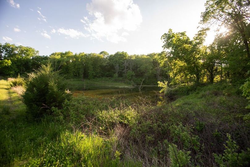 PAGE CO IA 130+_-_25