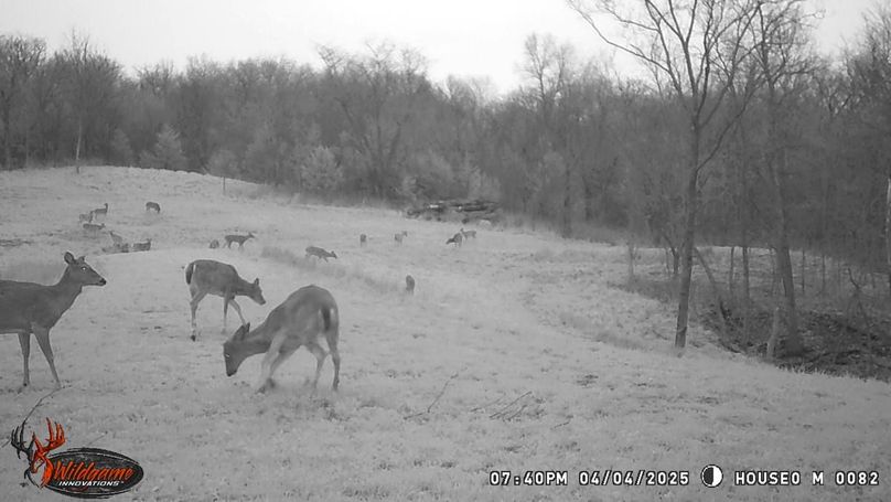 TRAIL CAM 11