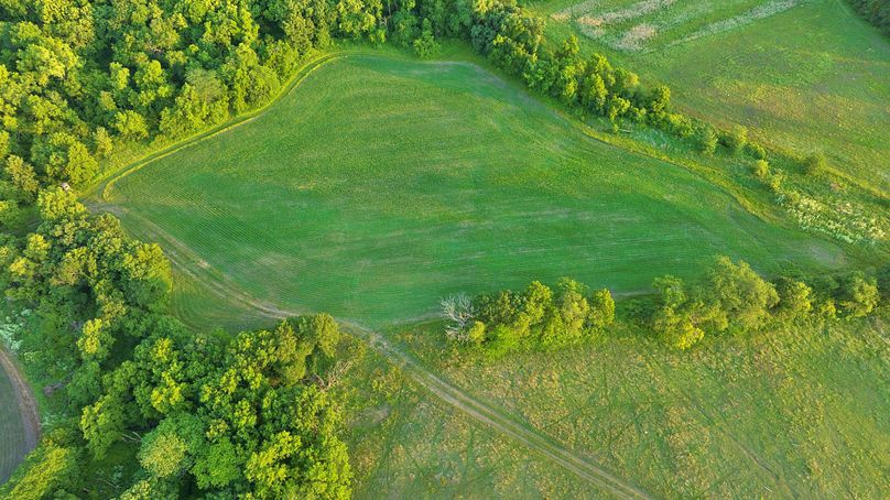 Harrison MO 480 Pro Photo_230 (9)