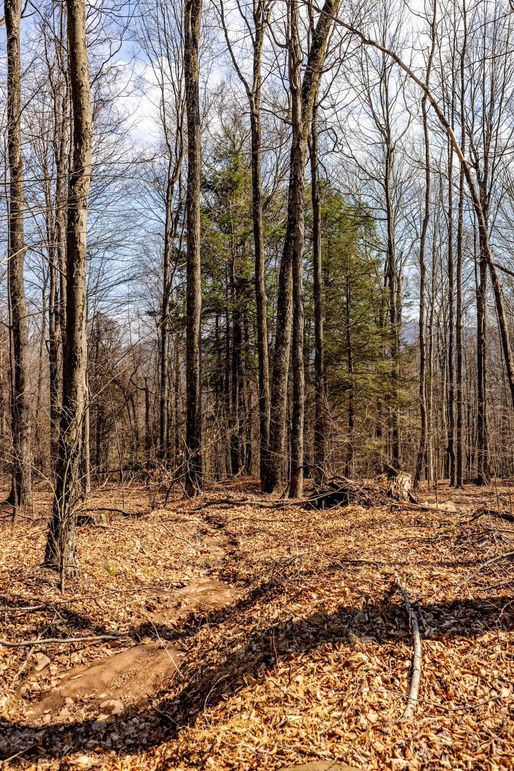 83-web-or-mls-IMG-83