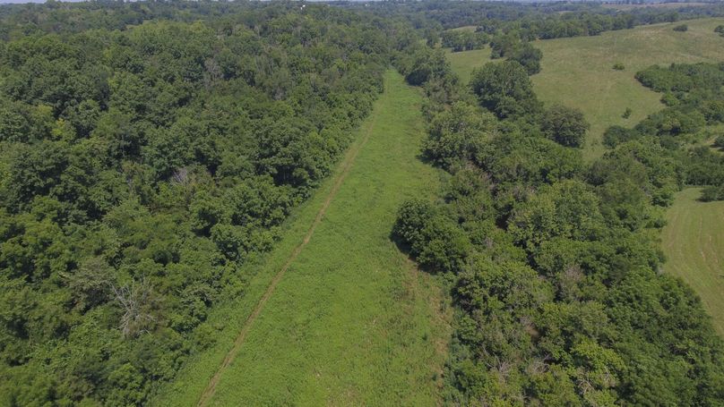 DJI_0556