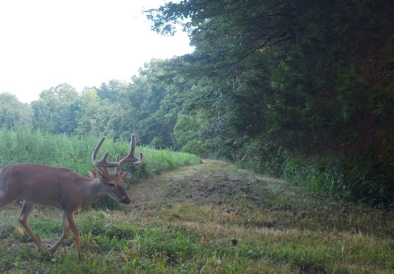 Copy of IMG_3205 Large