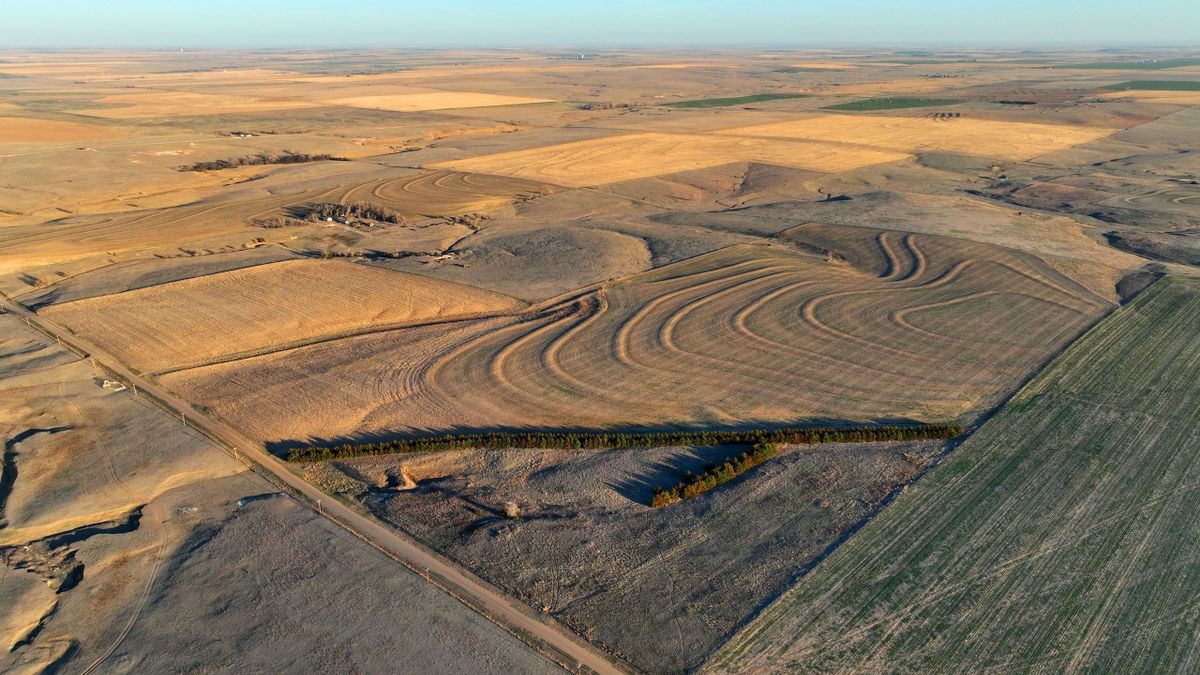 Western KS Hunting And Cropland Quarter Whitetail Properties