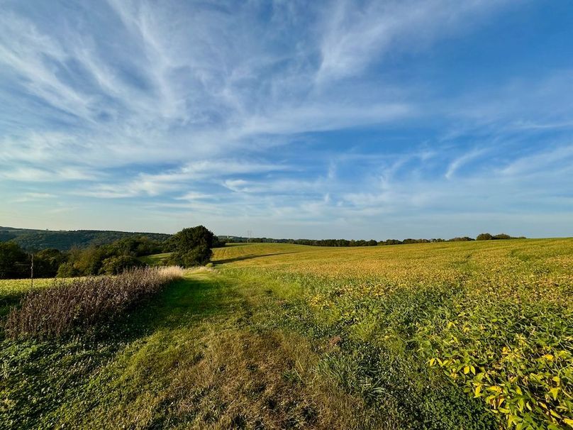 Richland 199Ground - 25