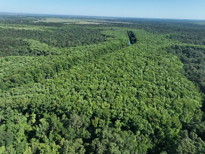 dji_fly_20260513_102120_441_1778687606704_photo