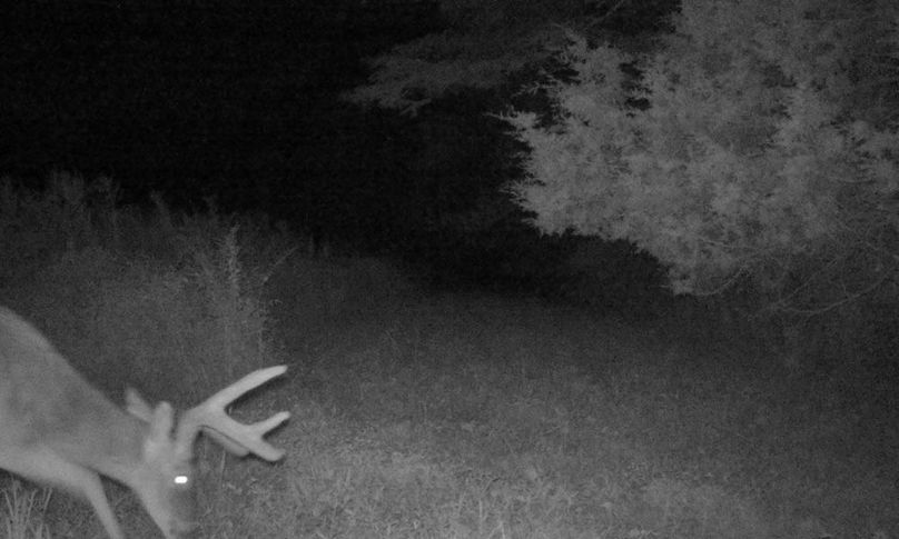 Copy of IMG_3195 2 Large