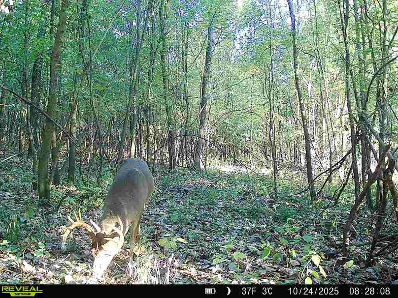 1 - 2026-01-02T122426.211