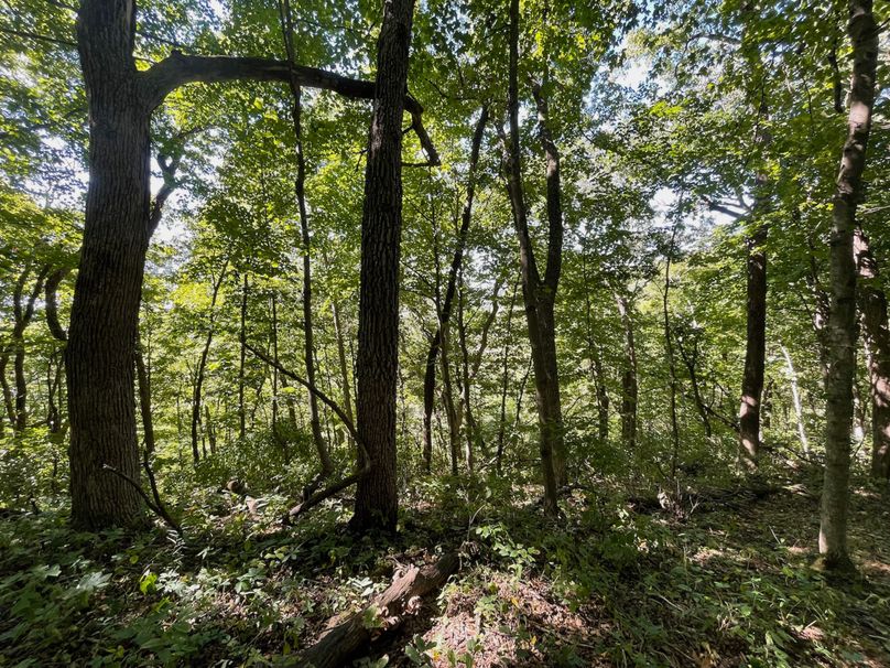 Grant 110 - 25 of 47