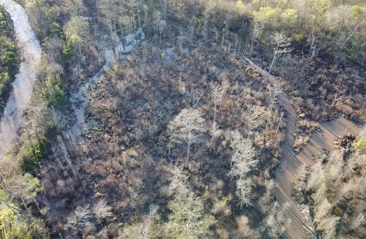 2024-03-18-08-09-45-022