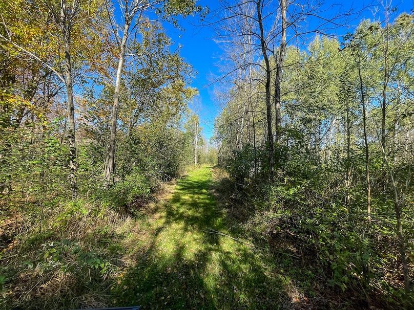 Wood 41.451, Collins -18